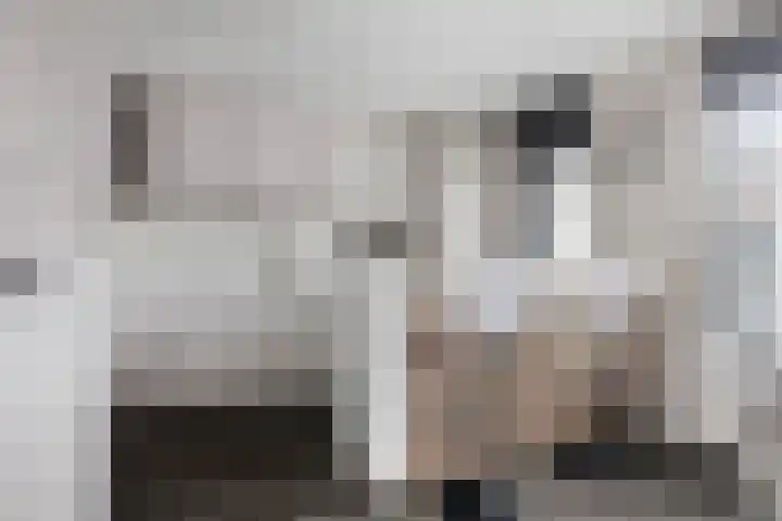 Schokker 42 Zeewolde thumbnail 10