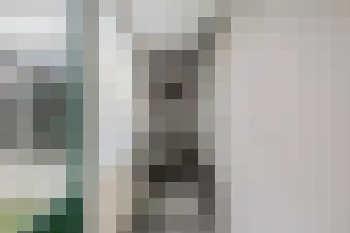 Schokker 42 Zeewolde thumbnail 12