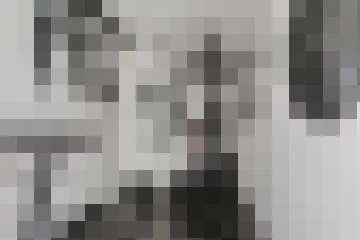 Schokker 42 Zeewolde thumbnail 13
