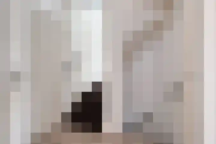 Schokker 42 Zeewolde thumbnail 14