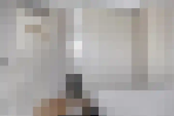 Schokker 42 Zeewolde thumbnail 16