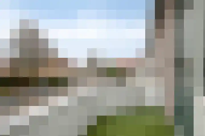 Schokker 42 Zeewolde thumbnail 17