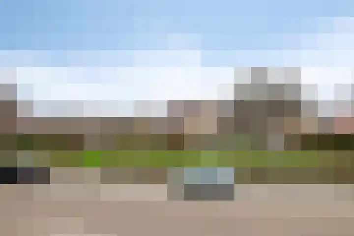 Schokker 42 Zeewolde thumbnail 18