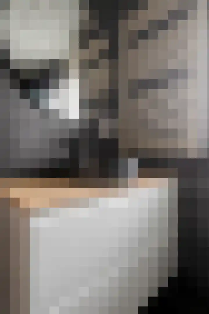 Schokker 42 Zeewolde thumbnail 20