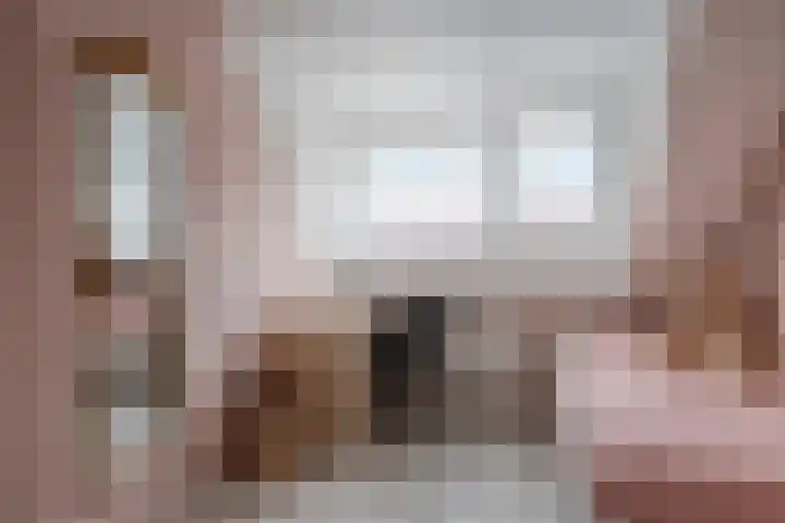 Schokker 42 Zeewolde thumbnail 23