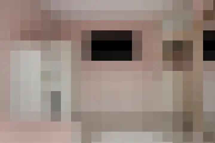 Schokker 42 Zeewolde thumbnail 24