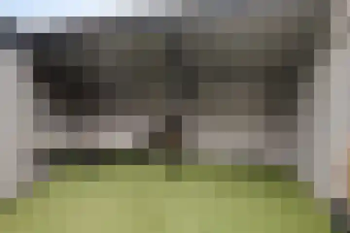 Schokker 42 Zeewolde thumbnail 31