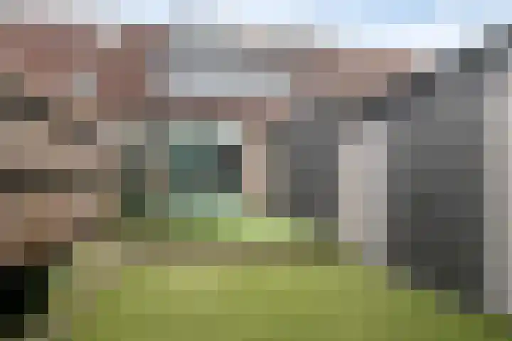 Schokker 42 Zeewolde thumbnail 32