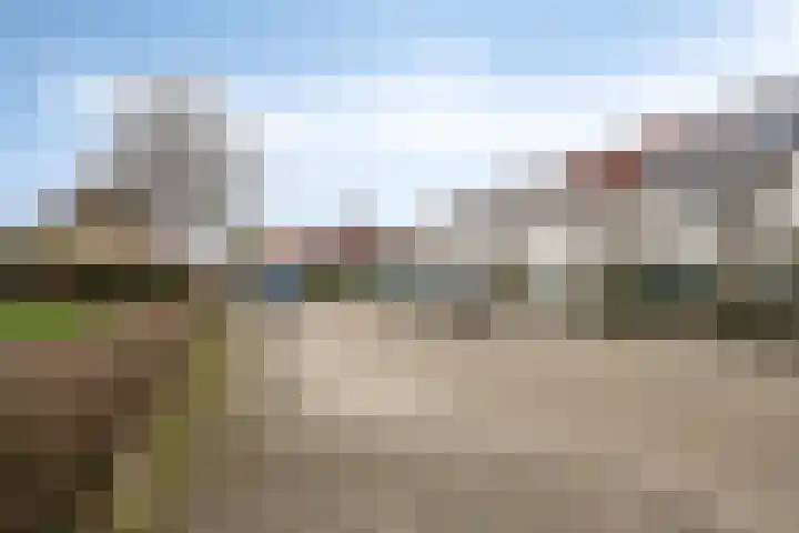 Schokker 42 Zeewolde thumbnail 5