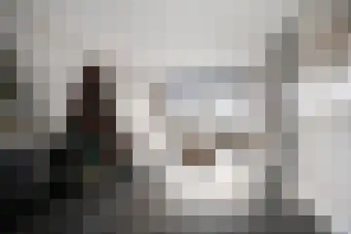 Schokker 42 Zeewolde thumbnail 7
