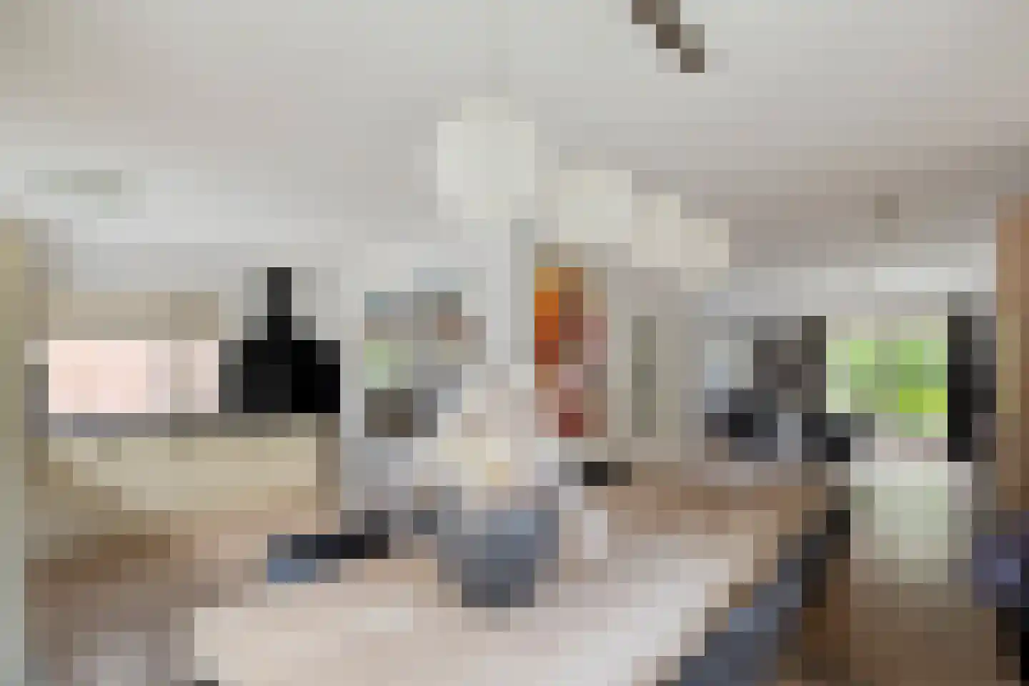 Schokker 7 Woerden thumbnail 11