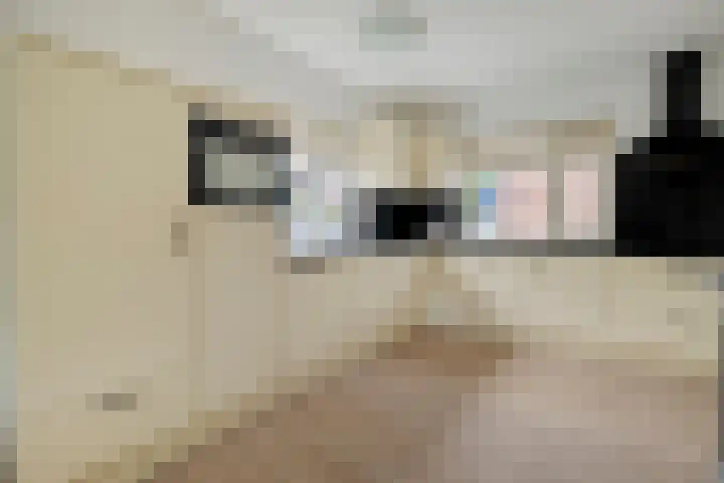 Schokker 7 Woerden thumbnail 12
