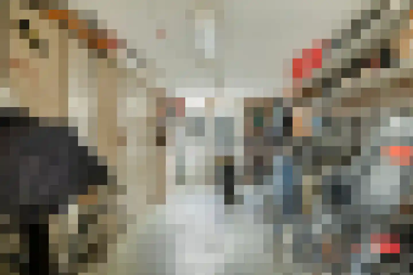 Schokker 7 Woerden thumbnail 15