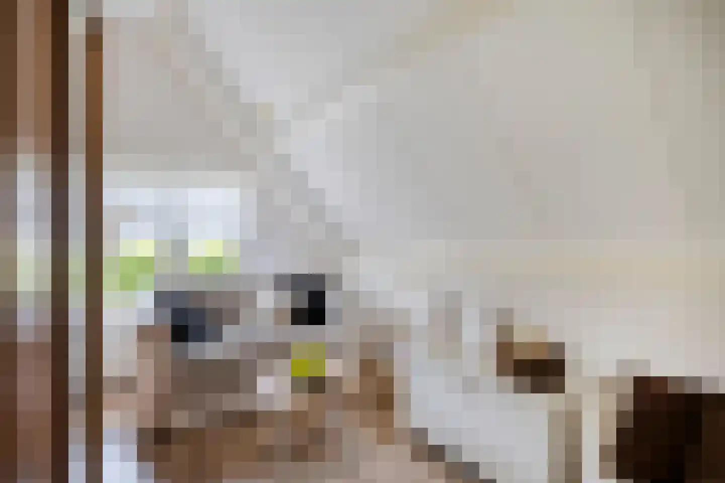 Schokker 7 Woerden thumbnail 26