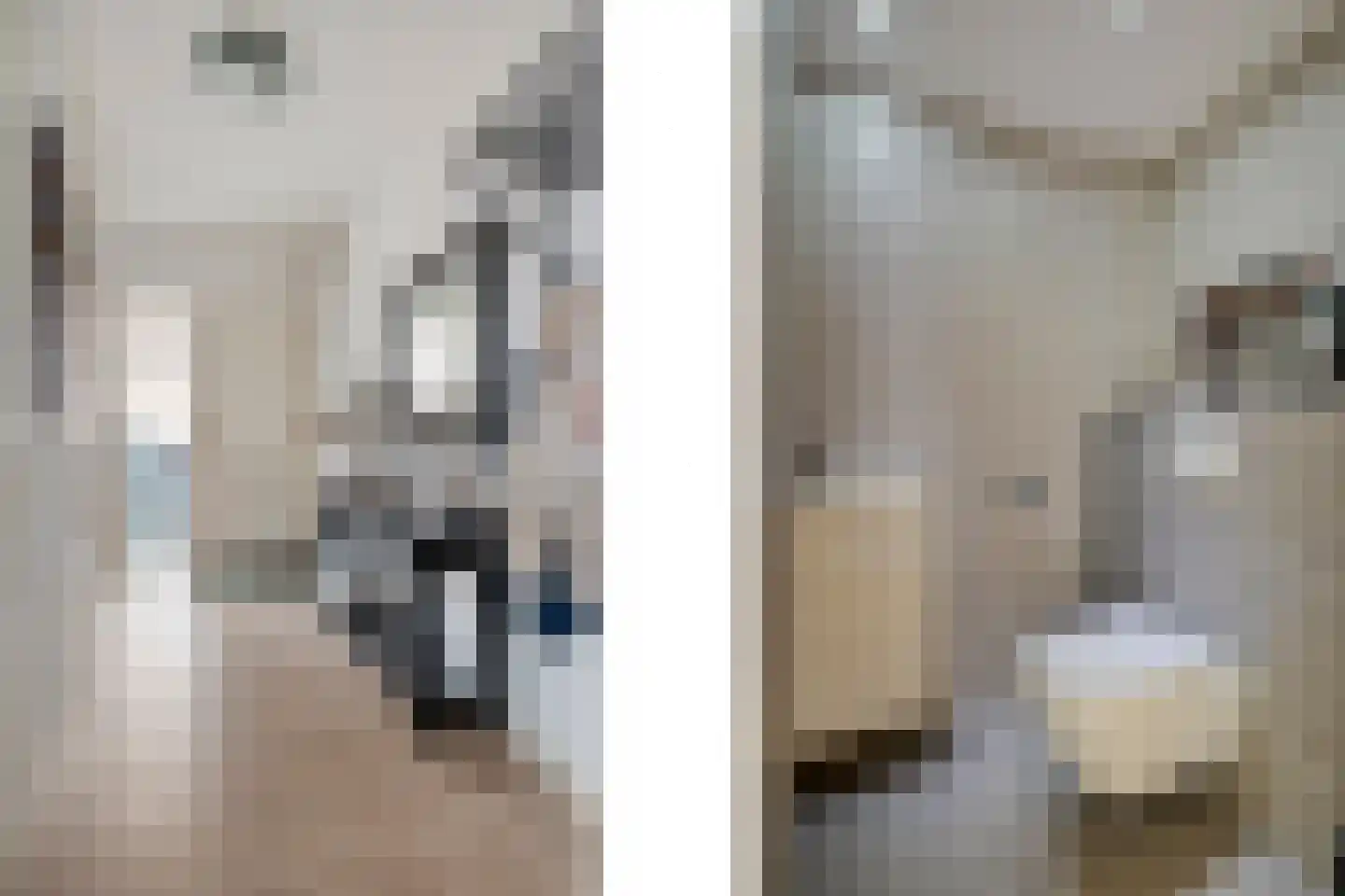 Schokker 7 Woerden thumbnail 7