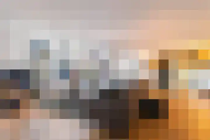 Schokker 70 Zeewolde thumbnail 13