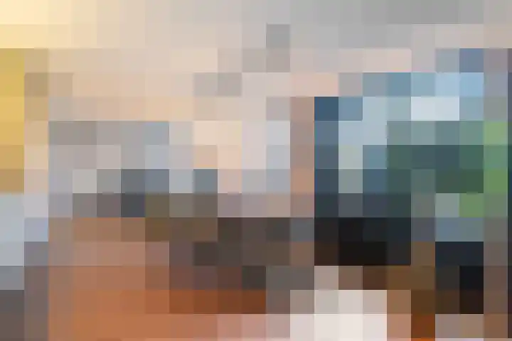 Schokker 70 Zeewolde thumbnail 21