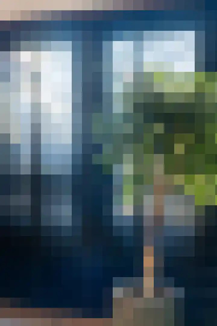 Schokker 70 Zeewolde thumbnail 27