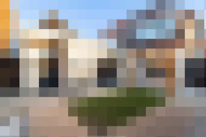Schokker 70 Zeewolde thumbnail 33