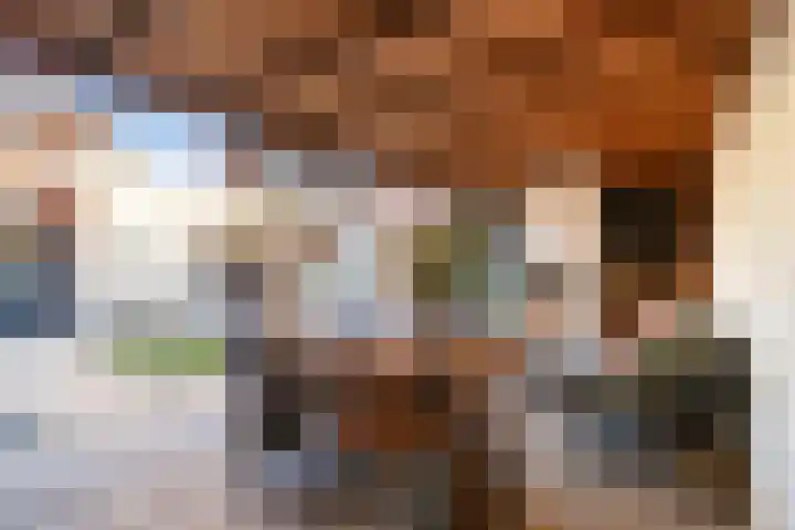 Schokker 70 Zeewolde thumbnail 37