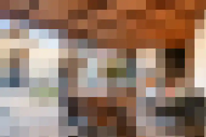 Schokker 70 Zeewolde thumbnail 38