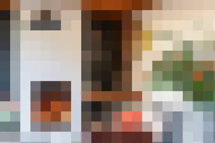 Schokker 70 Zeewolde thumbnail 39