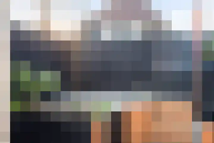 Schokker 70 Zeewolde thumbnail 41