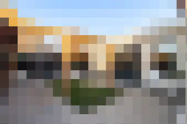 Schokker 70 Zeewolde thumbnail 43