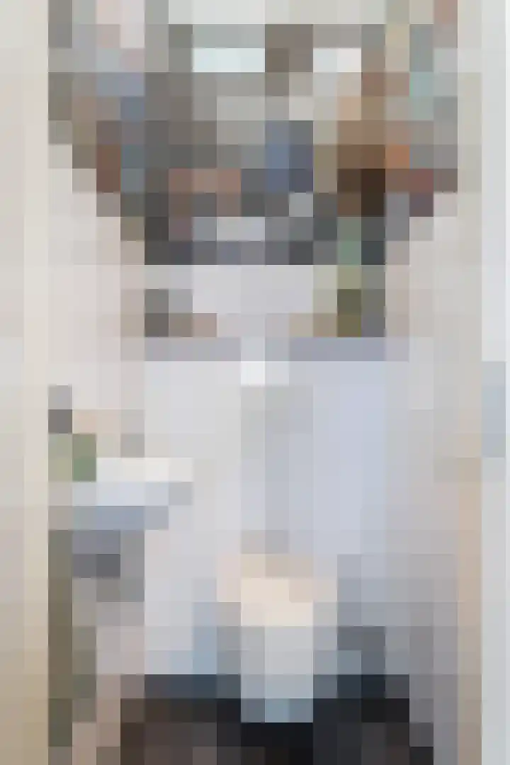 Schokker 70 Zeewolde thumbnail 45
