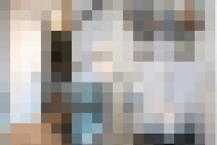 Schokker 70 Zeewolde thumbnail 46