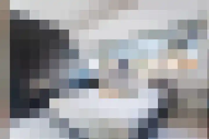 Schokker 70 Zeewolde thumbnail 47
