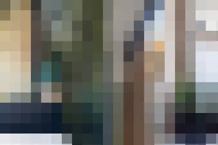 Schokker 70 Zeewolde thumbnail 50