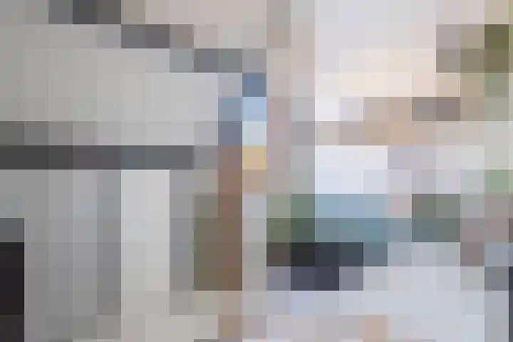 Schokker 70 Zeewolde thumbnail 56