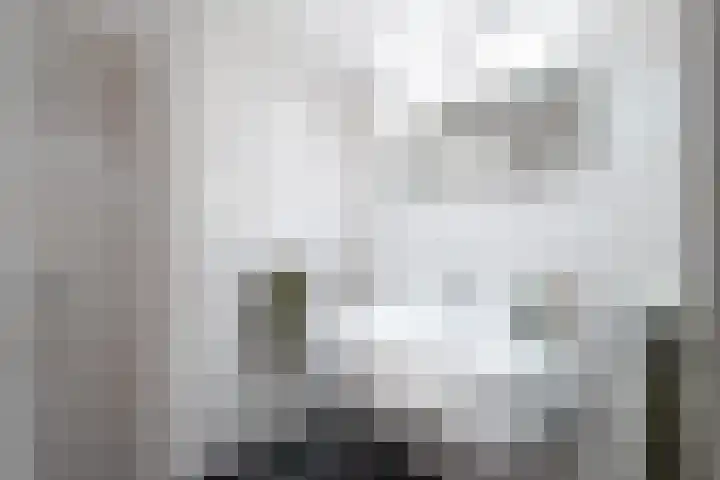 Schokker 70 Zeewolde thumbnail 57