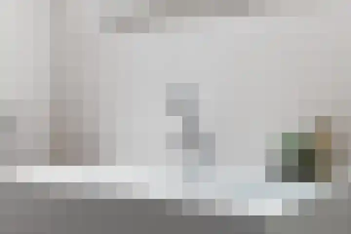 Schokker 70 Zeewolde thumbnail 58