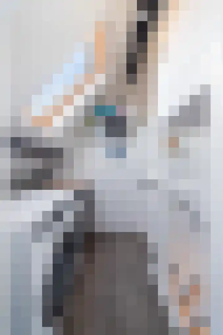 Schokker 70 Zeewolde thumbnail 66
