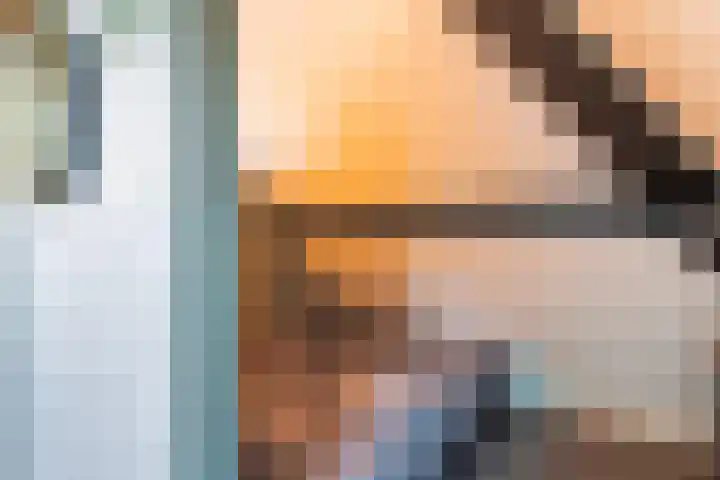 Schokker 70 Zeewolde thumbnail 69