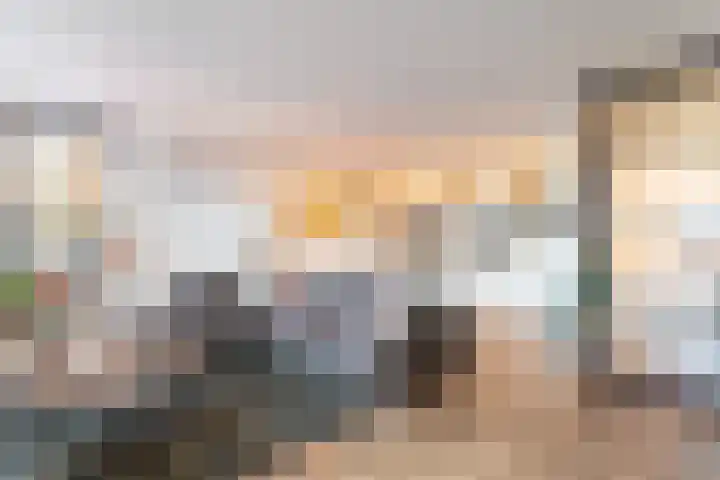 Schokker 70 Zeewolde thumbnail 7