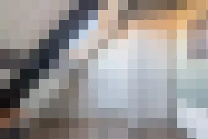 Schokker 70 Zeewolde thumbnail 70