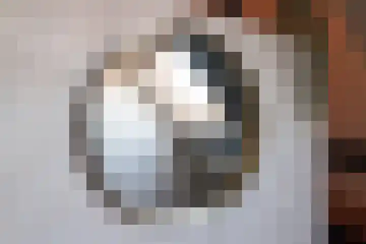 Schokker 70 Zeewolde thumbnail 71
