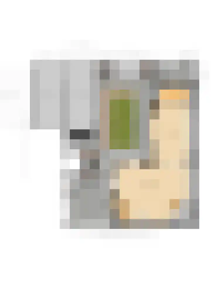 Schokker 70 Zeewolde thumbnail 76