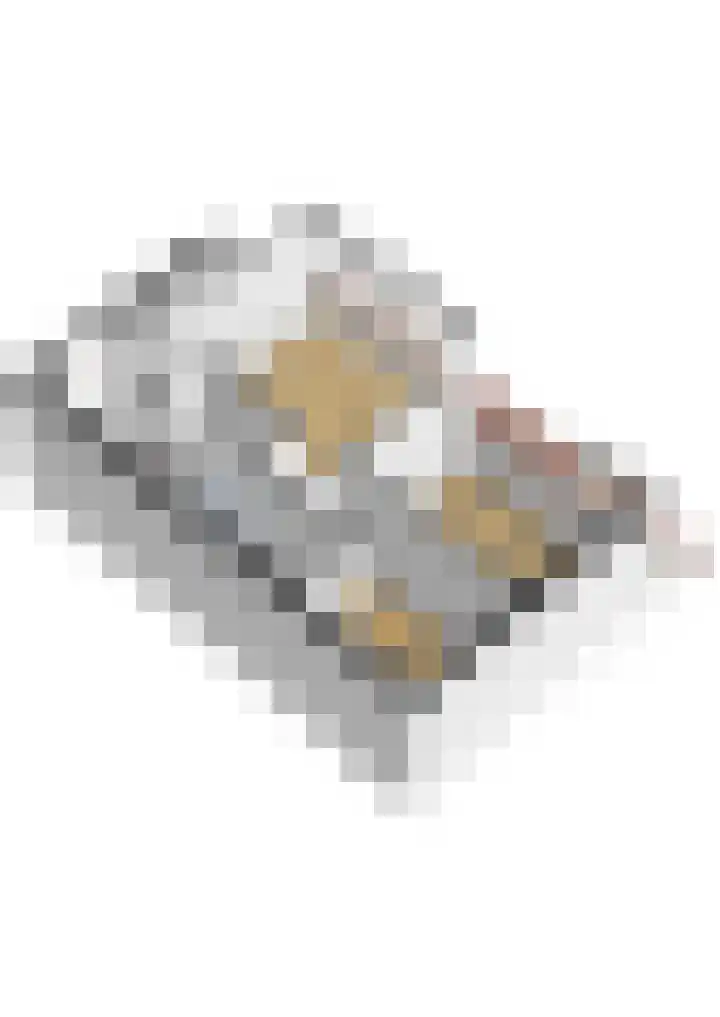 Schokker 70 Zeewolde thumbnail 78