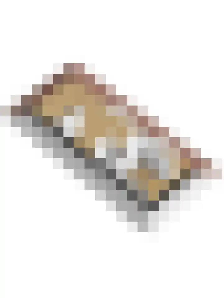 Schokker 70 Zeewolde thumbnail 79
