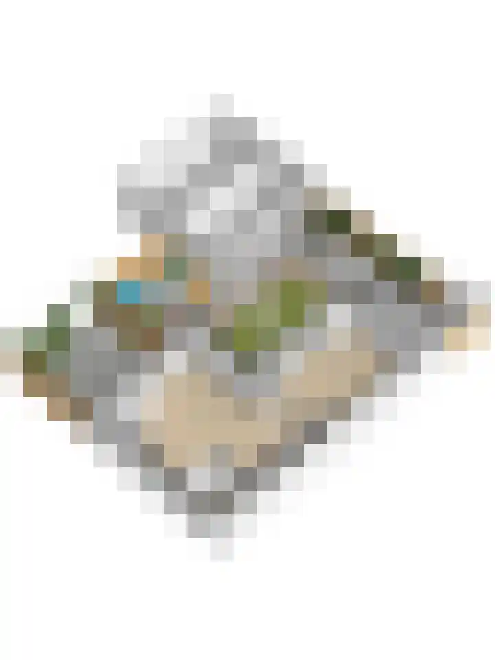 Schokker 70 Zeewolde thumbnail 80
