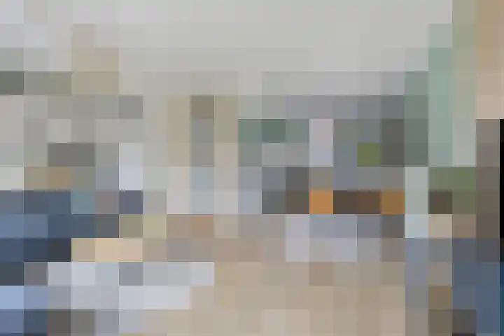 Schokker 77 Zeewolde thumbnail 10