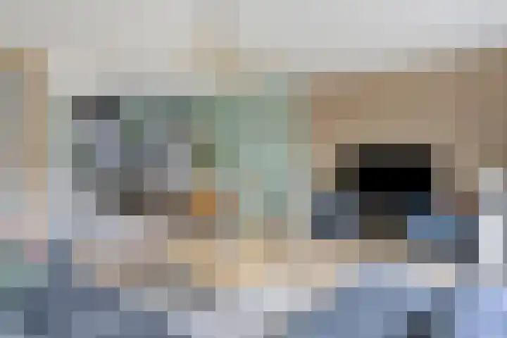 Schokker 77 Zeewolde thumbnail 11