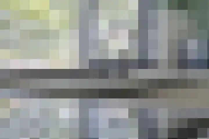 Schokker 77 Zeewolde thumbnail 15