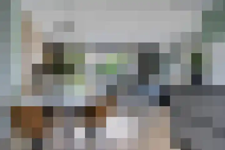 Schokker 77 Zeewolde thumbnail 16