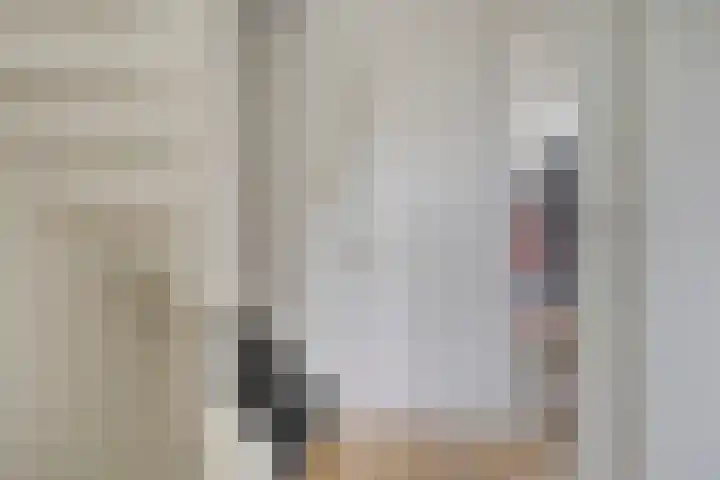 Schokker 77 Zeewolde thumbnail 18