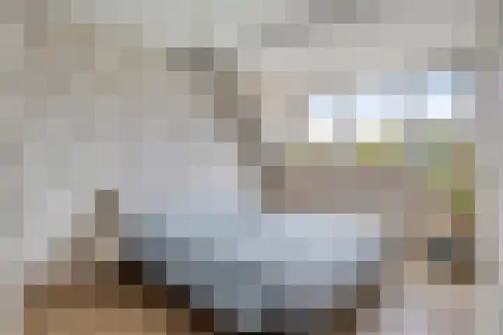 Schokker 77 Zeewolde thumbnail 19